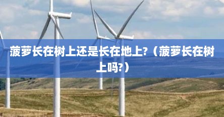 菠萝长在树上还是长在地上?（菠萝长在树上吗?）