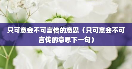 只可意会不可言传的意思（只可意会不可言传的意思下一句）
