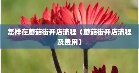 怎样在蘑菇街开店流程（蘑菇街开店流程及费用）