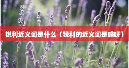 锐利近义词是什么（锐利的近义词是啥呀）