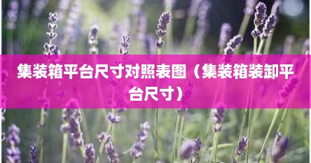 集装箱平台尺寸对照表图（集装箱装卸平台尺寸）