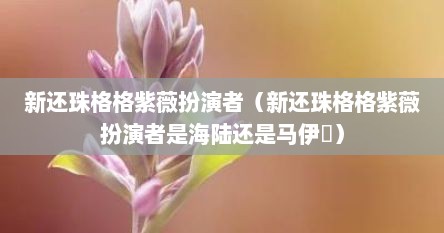 新还珠格格紫薇扮演者（新还珠格格紫薇扮演者是海陆还是马伊琍）