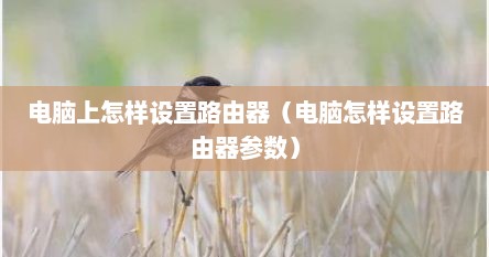 电脑上怎样设置路由器（电脑怎样设置路由器参数）