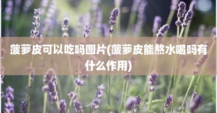 菠萝皮可以吃吗图片(菠萝皮能熬水喝吗有什么作用)