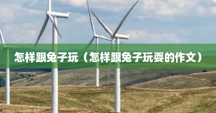 怎样跟兔子玩（怎样跟兔子玩耍的作文）