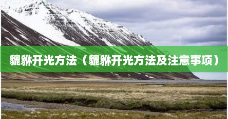 貔貅开光方法（貔貅开光方法及注意事项）