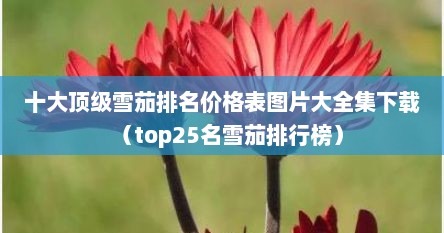 十大顶级雪茄排名价格表图片大全集下载（top25名雪茄排行榜）