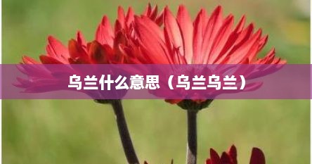 乌兰什么意思（乌兰乌兰）