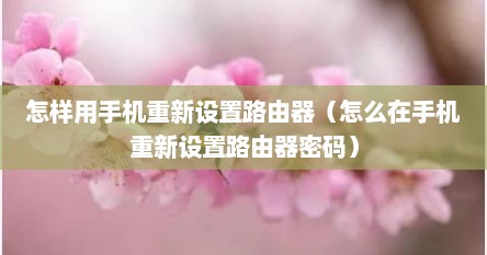 怎样用手机重新设置路由器（怎么在手机重新设置路由器密码）