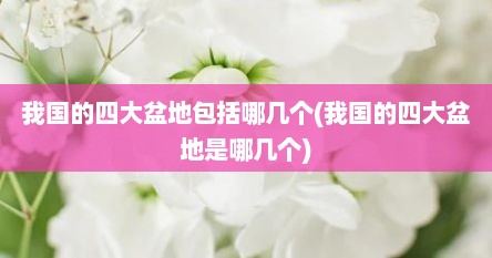 我国的四大盆地包括哪几个(我国的四大盆地是哪几个)