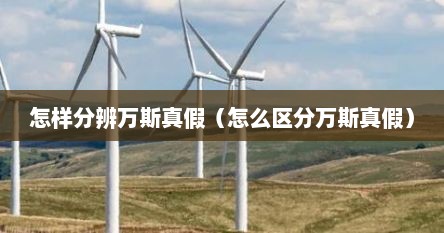 怎样分辨万斯真假（怎么区分万斯真假）