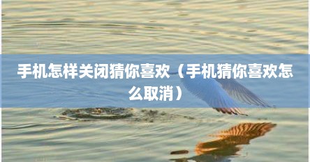 手机怎样关闭猜你喜欢（手机猜你喜欢怎么取消）