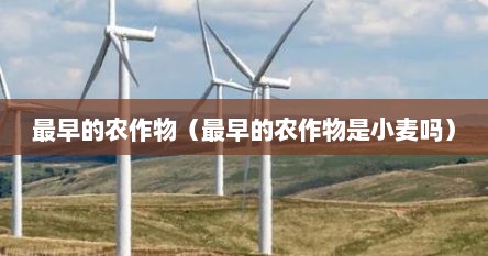 最早的农作物（最早的农作物是小麦吗）