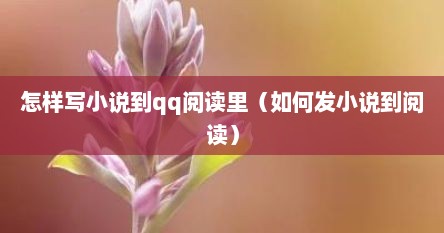 怎样写小说到qq阅读里（如何发小说到阅读）