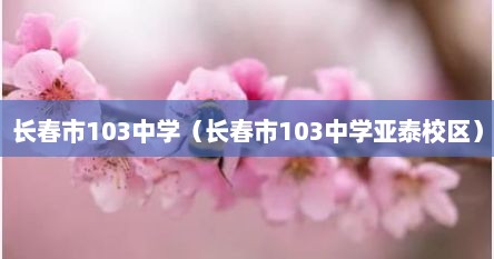 长春市103中学（长春市103中学亚泰校区）