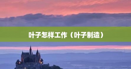 叶子怎样工作（叶子制造）