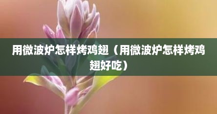 用微波炉怎样烤鸡翅（用微波炉怎样烤鸡翅好吃）