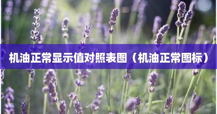 机油正常显示值对照表图（机油正常图标）