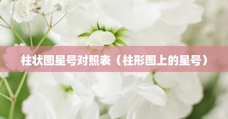 柱状图星号对照表（柱形图上的星号）