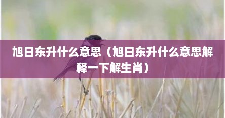 旭日东升什么意思（旭日东升什么意思解释一下解生肖）