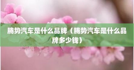 腾势汽车是什么品牌（腾势汽车是什么品牌多少钱）
