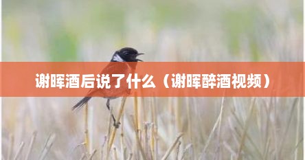谢晖酒后说了什么（谢晖醉酒视频）