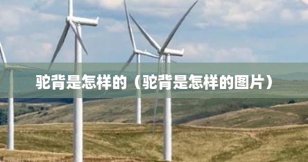 驼背是怎样的（驼背是怎样的图片）