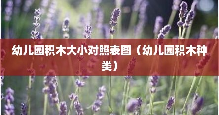 幼儿园积木大小对照表图（幼儿园积木种类）