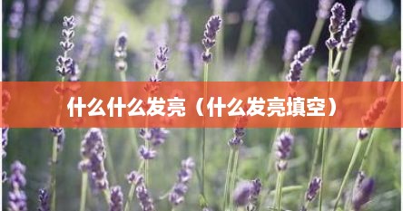 什么什么发亮（什么发亮填空）
