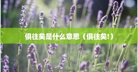 俱往矣是什么意思（俱往矣!）