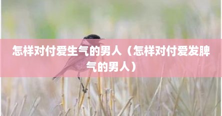 怎样对付爱生气的男人（怎样对付爱发脾气的男人）
