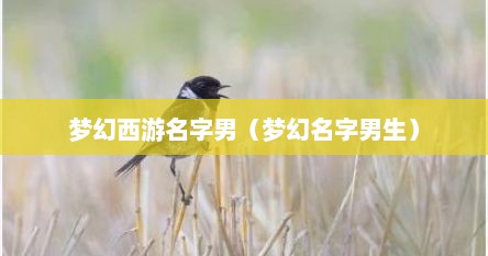 梦幻西游名字男（梦幻名字男生）