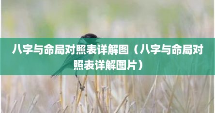 八字与命局对照表详解图（八字与命局对照表详解图片）