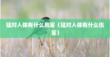 锰对人体有什么危害（锰对人体有什么伤害）