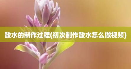 酸水的制作过程(初次制作酸水怎么做视频)
