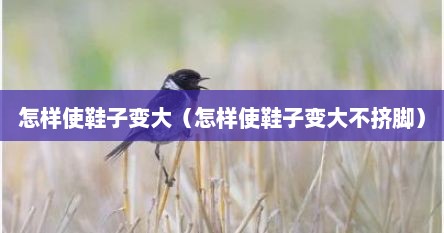怎样使鞋子变大（怎样使鞋子变大不挤脚）
