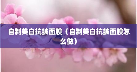 自制美白抗皱面膜（自制美白抗皱面膜怎么做）