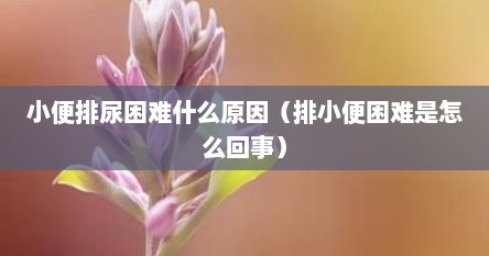 小便排尿困难什么原因（排小便困难是怎么回事）