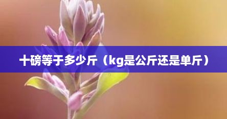 十磅等于多少斤（kg是公斤还是单斤）