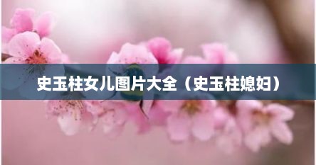 史玉柱女儿图片大全（史玉柱媳妇）