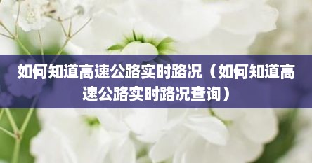 怎样知道高速路况实时查询（怎么查询高速公路实时路况）