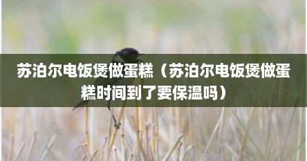 苏泊尔电饭煲做蛋糕（苏泊尔电饭煲做蛋糕时间到了要保温吗）
