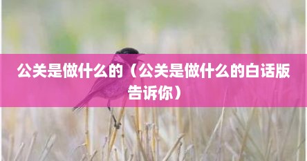 公关是做什么的（公关是做什么的白话版告诉你）