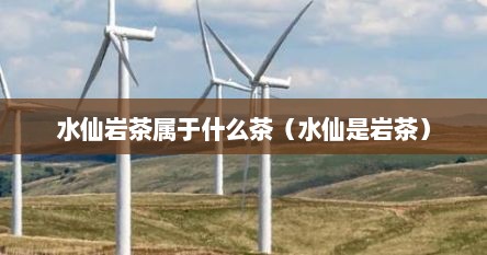 水仙是岩茶吗（水仙茶是武夷岩茶的代表）