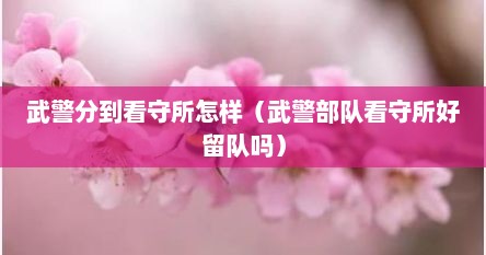 武警分到看守所怎样（武警部队看守所好留队吗）
