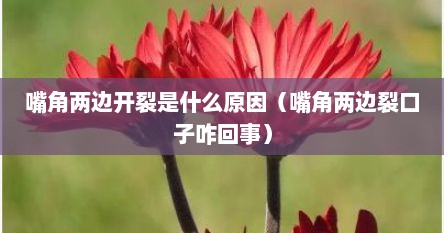 嘴角两边开裂是什么原因（嘴角两边裂口子咋回事）
