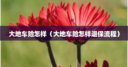 大地车险怎样（大地车险怎样退保流程）
