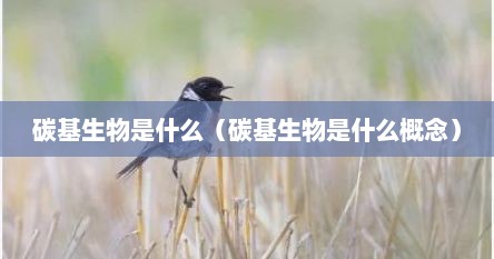 碳基生物是什么（碳基生物是什么概念）