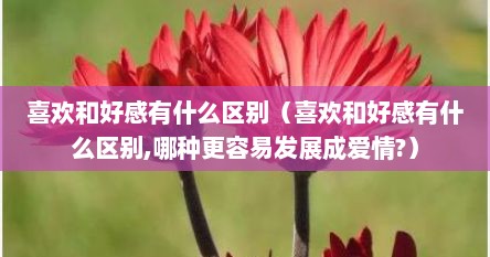喜欢和好感有什么区别（喜欢和好感有什么区别,哪种更容易发展成爱情?）