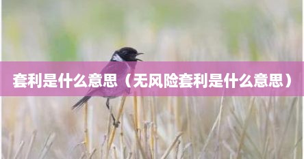 套利是什么意思（无风险套利是什么意思）